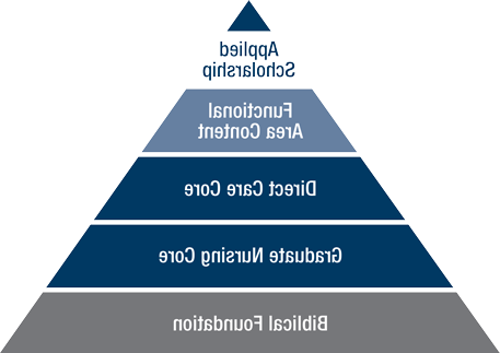 Diagram of the progression and increasing specificity of course studies in MSN as represented by a pyramid.